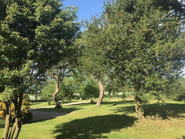 Dairy Barns Holiday Cottages 诺里奇 外观 照片